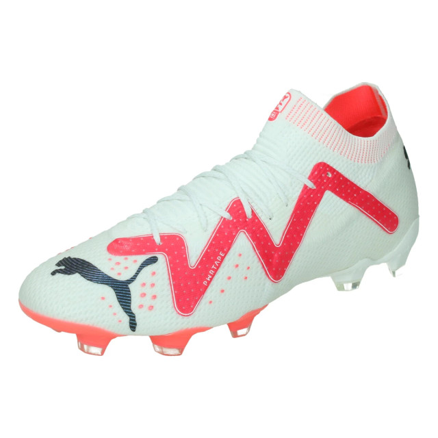 Puma Future ultimate fg/ag 126596 large