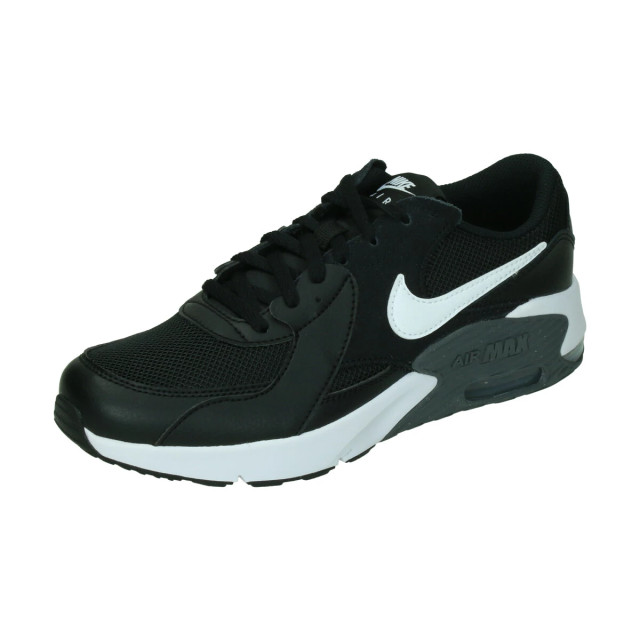 Nike Air max excee 110065 large