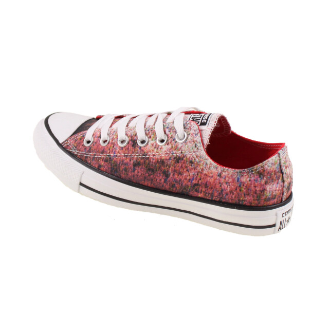 Converse All star low canvas streaming 2502-45-16 large
