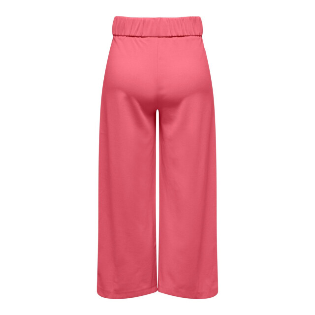 Jacqueline de Yong Jdygeggo new ancle pant jrs noos oud 4119.63.0006 large