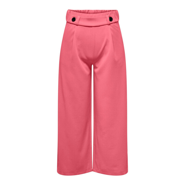 Jacqueline de Yong Jdygeggo new ancle pant jrs noos oud 4119.63.0006 large