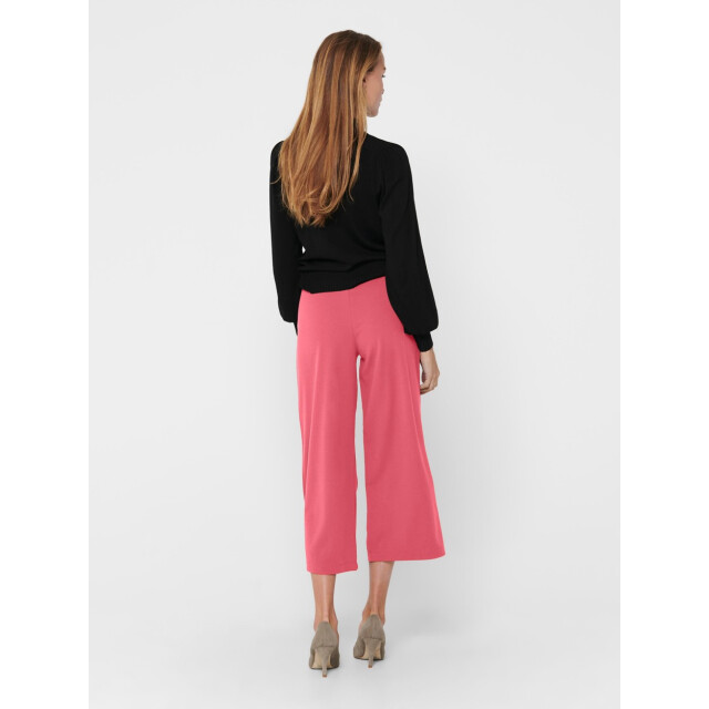 Jacqueline de Yong Jdygeggo new ancle pant jrs noos oud 4119.63.0006 large