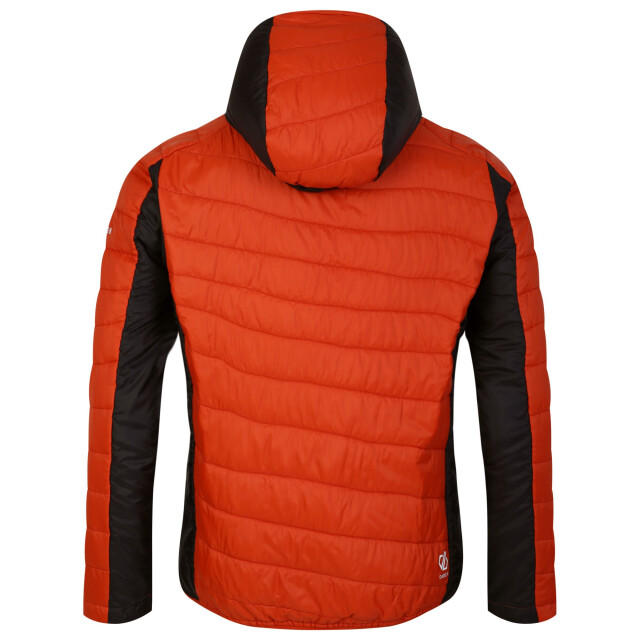 Dare2b Heren touring gewatteerd jack UTRG10287_rooibosteapuffinsorange large