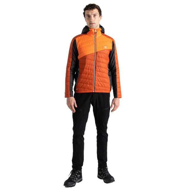 Dare2b Heren touring gewatteerd jack UTRG10287_rooibosteapuffinsorange large