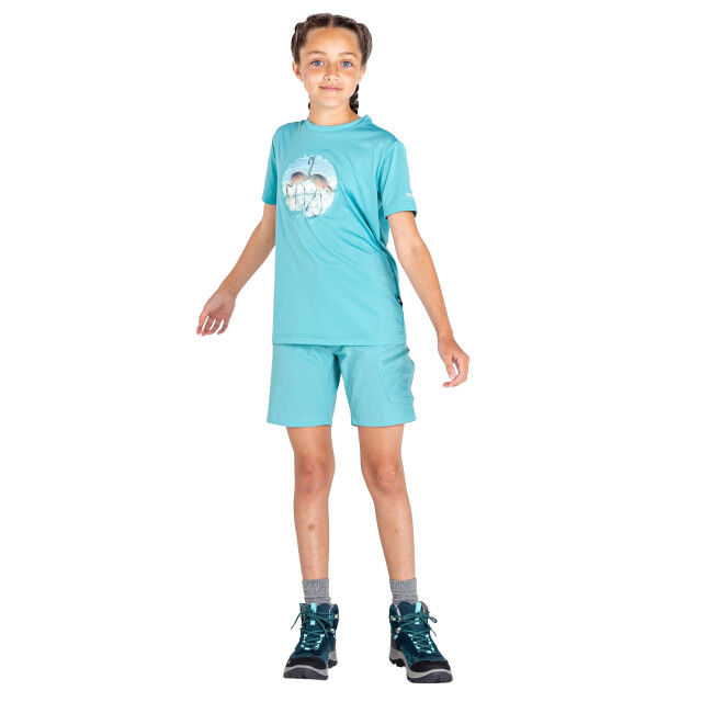 Dare2b Kinderen/kinderen rechtmatig flamingo gerecycled t-shirt UTRG10187_meadowbrookgreen large
