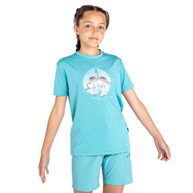 Dare2b Kinderen/kinderen rechtmatig flamingo gerecycled t-shirt UTRG10187_meadowbrookgreen large