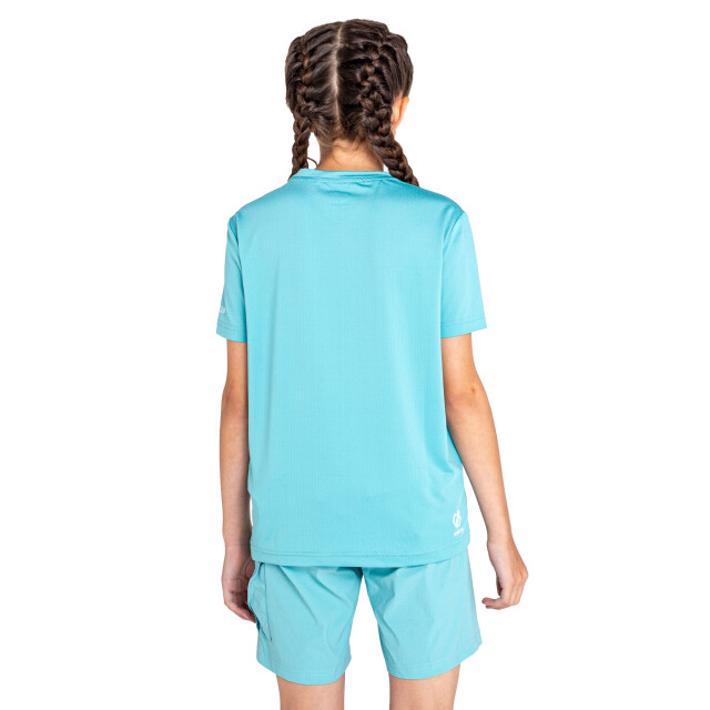 Dare2b Kinderen/kinderen rechtmatig flamingo gerecycled t-shirt UTRG10187_meadowbrookgreen large