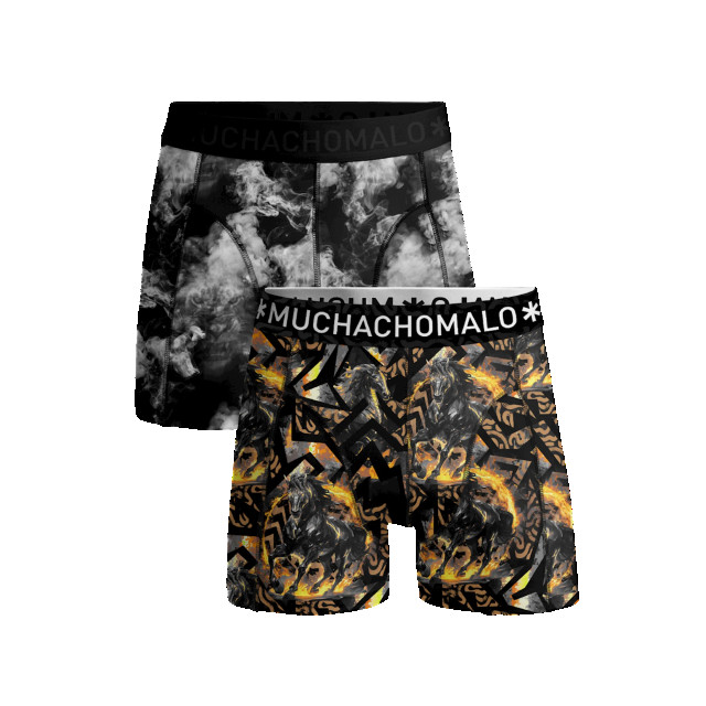 Muchachomalo Jongens 2-pack boxershorts fire elements FIREELEMENTS1010-04J large