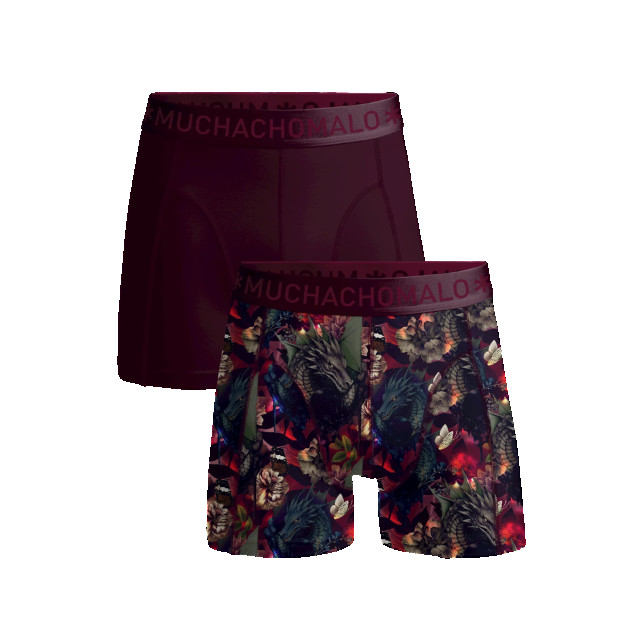 Muchachomalo Jongens 2-pack boxershorts print/effen DRAGONFLOW1010-01J large