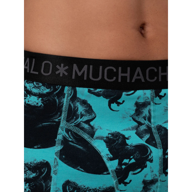 Muchachomalo Heren 3-pack boxershorts print/effen U-LION1010-01 large