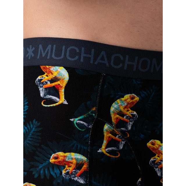 Muchachomalo Heren 3+3-pack boxershorts CDOUTLT37-50 large