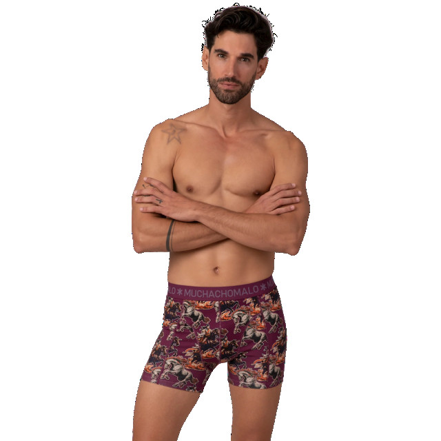 Muchachomalo Heren 12-pack boxershorts print/effen U-GOLDEN1010-08 large