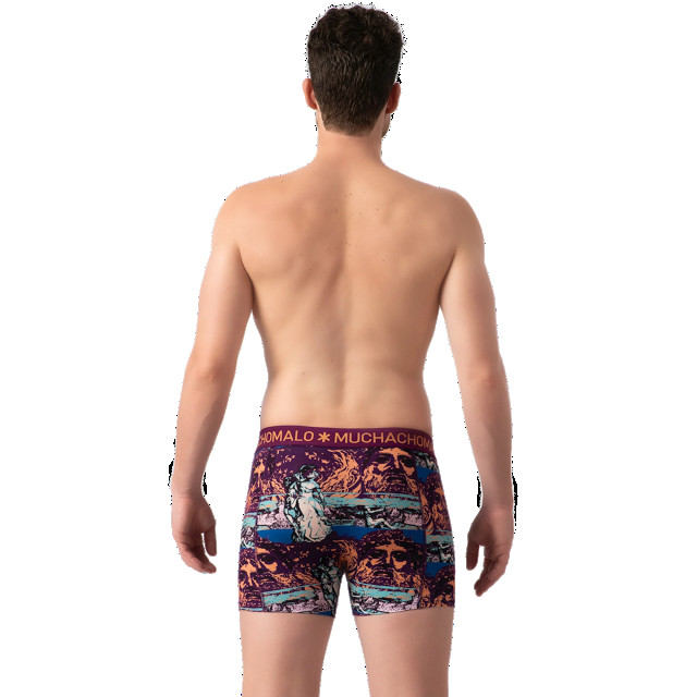 Muchachomalo Heren 10-pack boxershorts print/effen U-REMIX1010-01 large