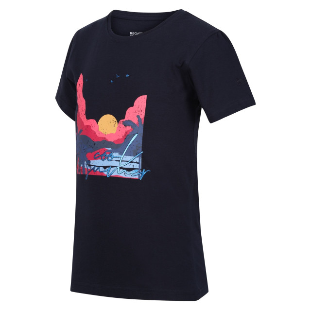 Regatta Kinderen/kinderen bosley vi sunset t-shirt UTRG8763_navy large