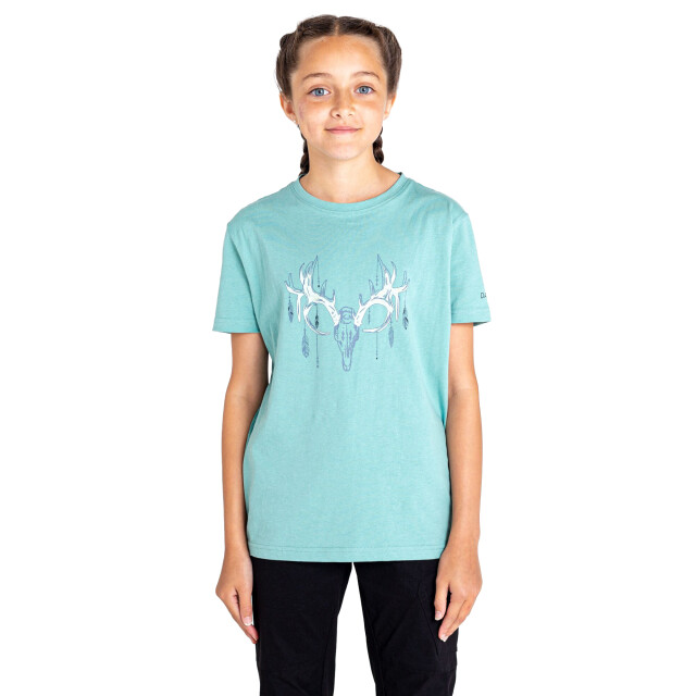 Dare2b Kinderen/kinderen go beyond stag t-shirt UTRG10563_aquasplash large