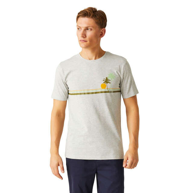 Regatta Heren cline viii sunset marl t-shirt UTRG9877_silvergrey large