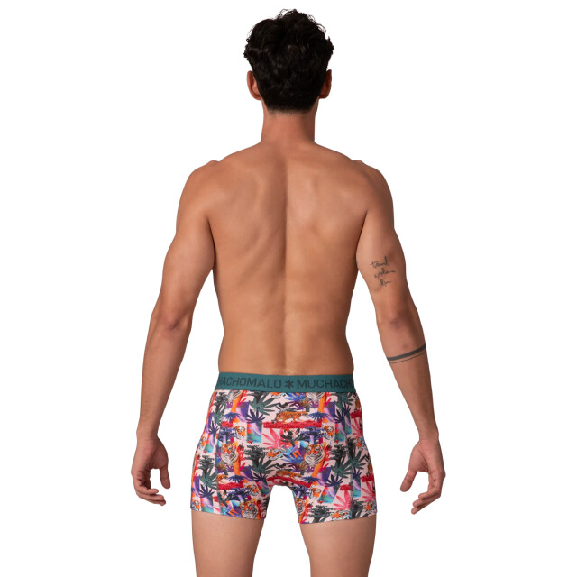 Muchachomalo Heren 2-pack boxershorts bricks BRICKS1010-04 large