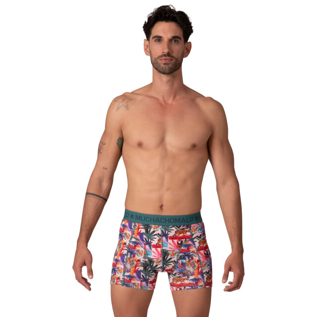 Muchachomalo Heren 2-pack boxershorts bricks BRICKS1010-04 large