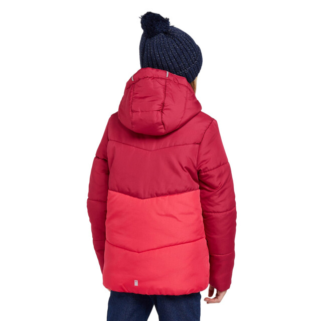 Regatta Lofthouse vi geïsoleerde gewatteerde jas voor kinderen/kinderen UTRG10476_berrypinkpinkpotion large