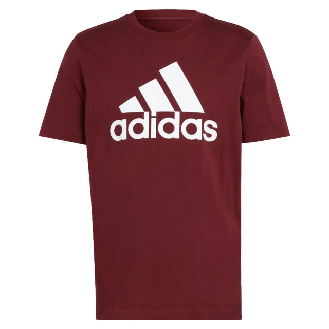 Adidas Essentials big big logo t-shirt 130826 large