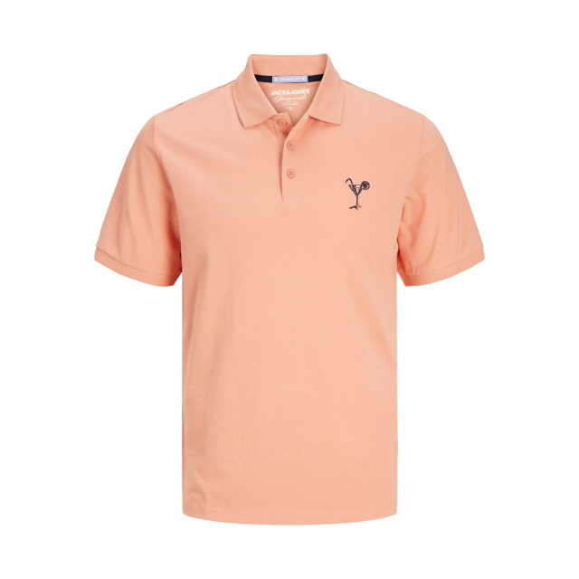 Jack & Jones Jorpalm emb polo ss 12257950 large