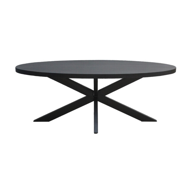 Livingfurn eetkamertafel kala oval spider 160cm mangohout / gecoat staal 2834828 large