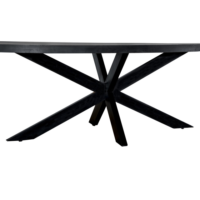 Livingfurn eetkamertafel kala oval spider 160cm mangohout / gecoat staal 2834828 large