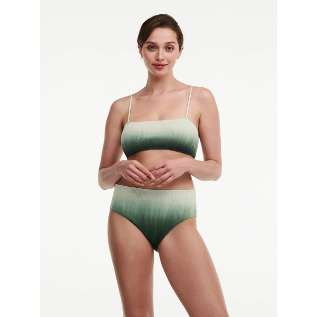 Chantelle Swim full brief C12VC5 large