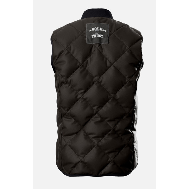 Nomad The woods igwt x bodywarmer | COIWOBR7J101 large