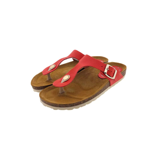 Casarini C24502 slippers C24502 large