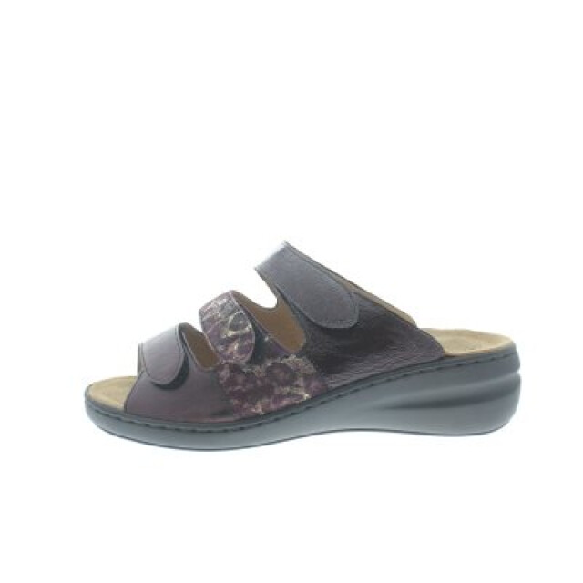 Solidus Spezial h 21154-50184  large