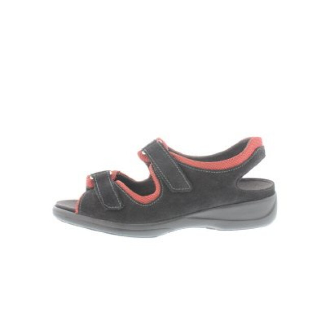 Solidus Lia h 73126-00788-H large Solidus Lia h 73126-00788-H large