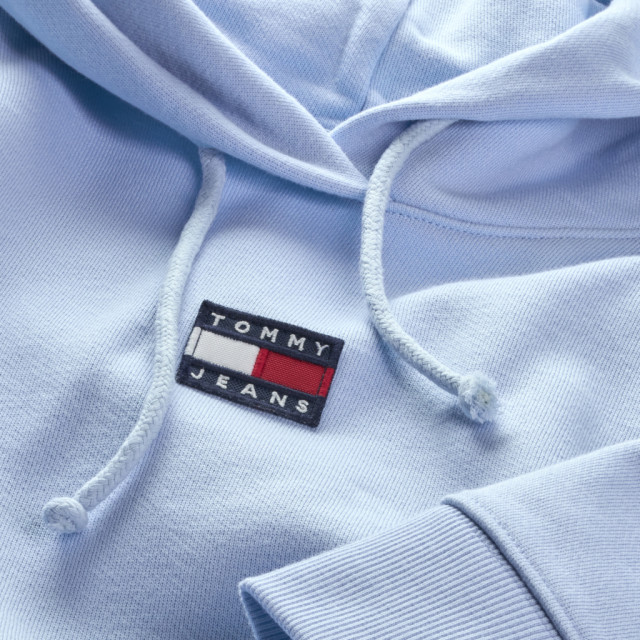 tommy hilfiger center badge hoodie