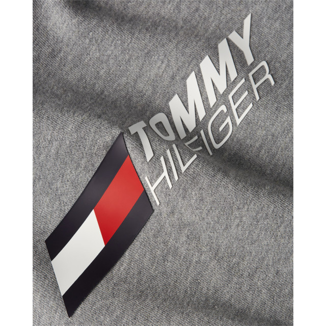 Tommy Hilfiger Essential hoodie MW0MW28997-P91-L large