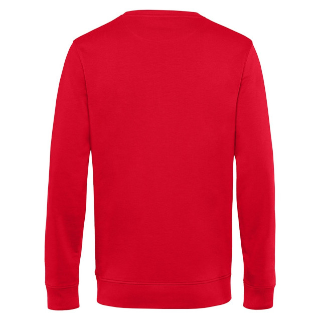 Ballin Est. 2013 Basic sweater SW-H00050-RED-L large