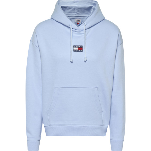 tommy hilfiger center badge hoodie