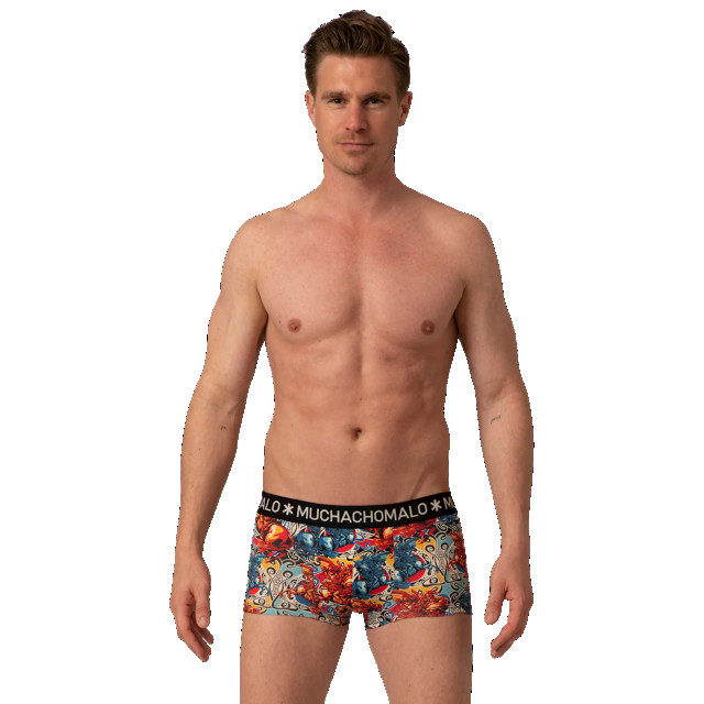 Muchachomalo Heren 2-pack trunks alps ALPS3025-04 large