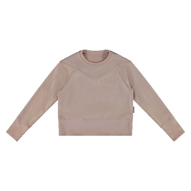 Vinrose Meisjes sweater - VGW23SW033 - Zilver large