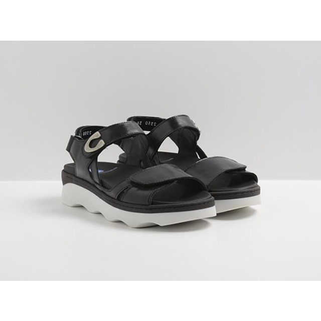 Wolky  Sandalen Zwart  large