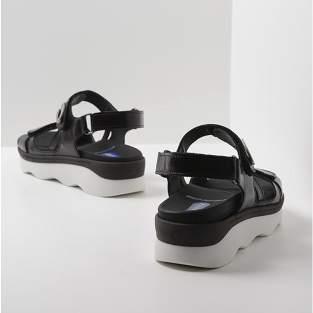 Wolky  Sandalen Zwart  large