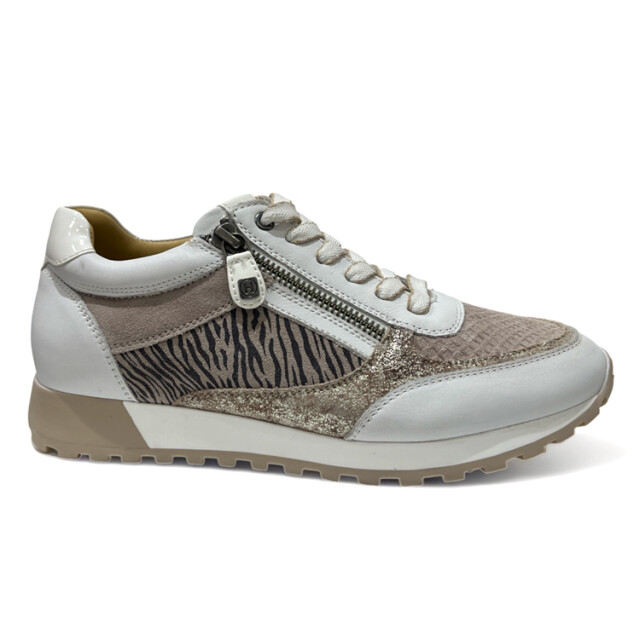 Helioform 293.008 293.008 large