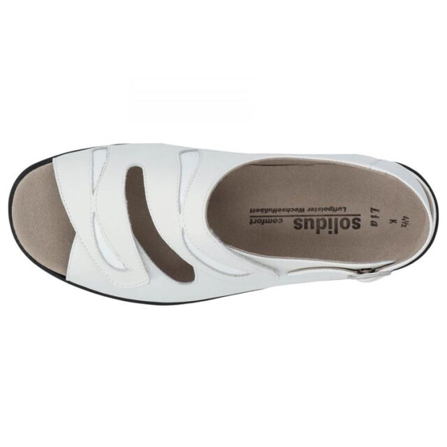 Solidus 73113 73113 Lia large