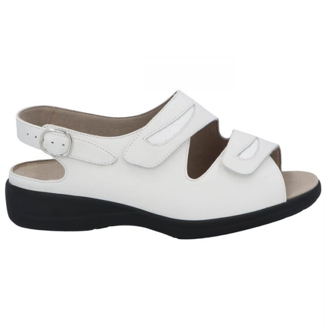 Solidus 73113 73113 Lia large