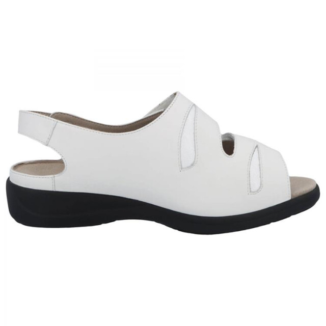 Solidus 73113 73113 Lia large