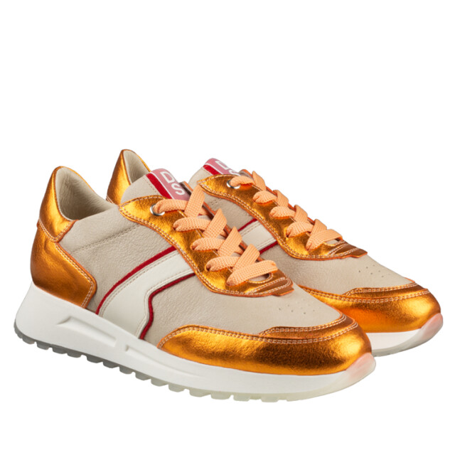 DL Sport 6203 6203 large