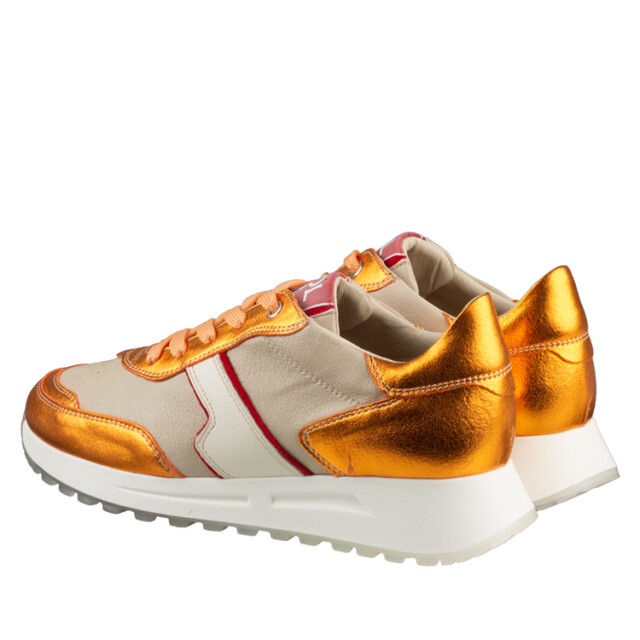 DL Sport 6203 6203 large