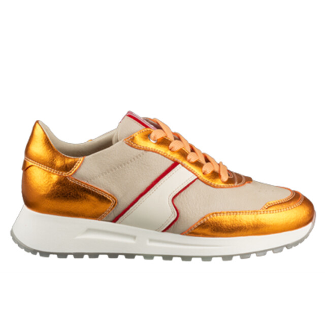 DL Sport 6203 6203 large