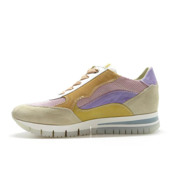 DL Sport 6221 6221 large