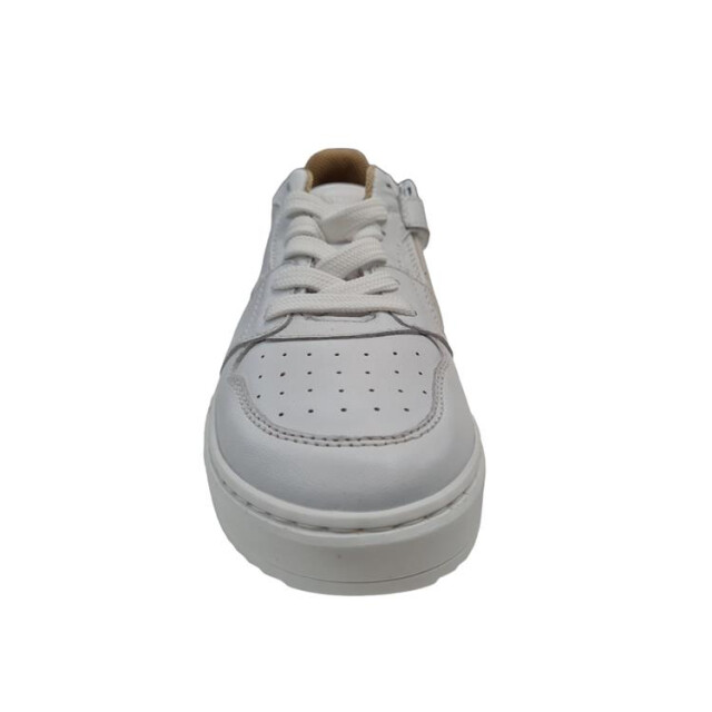 Gattino G1015 G1015 large
