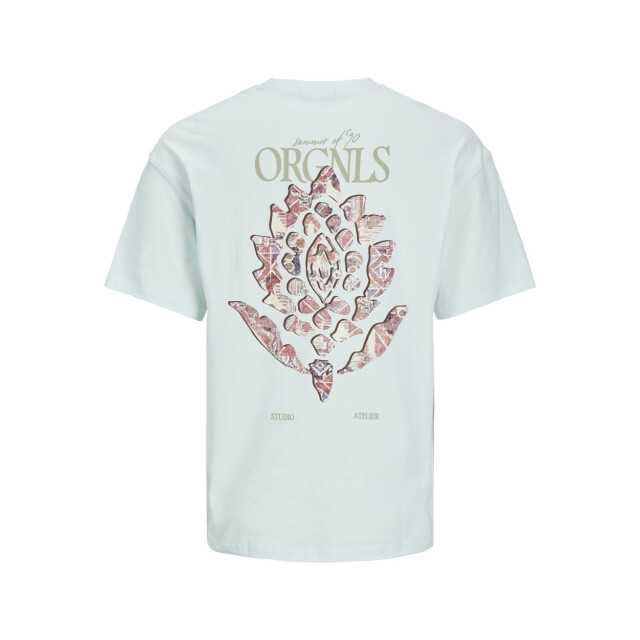 Jack & Jones Jornoto graphic back tee ss crew ne mint 5339.21.0137 large